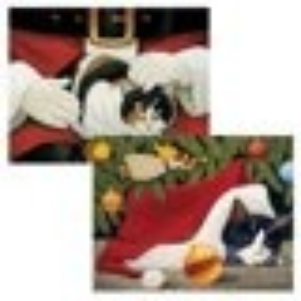 Furry Friends LANG CHRISTMAS CARD BOXED SET 18C/19E Cats Kitty Santa Envelops NU